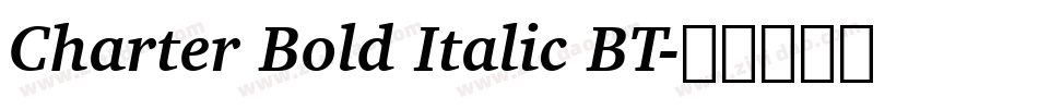 Charter Bold Italic BT字体转换